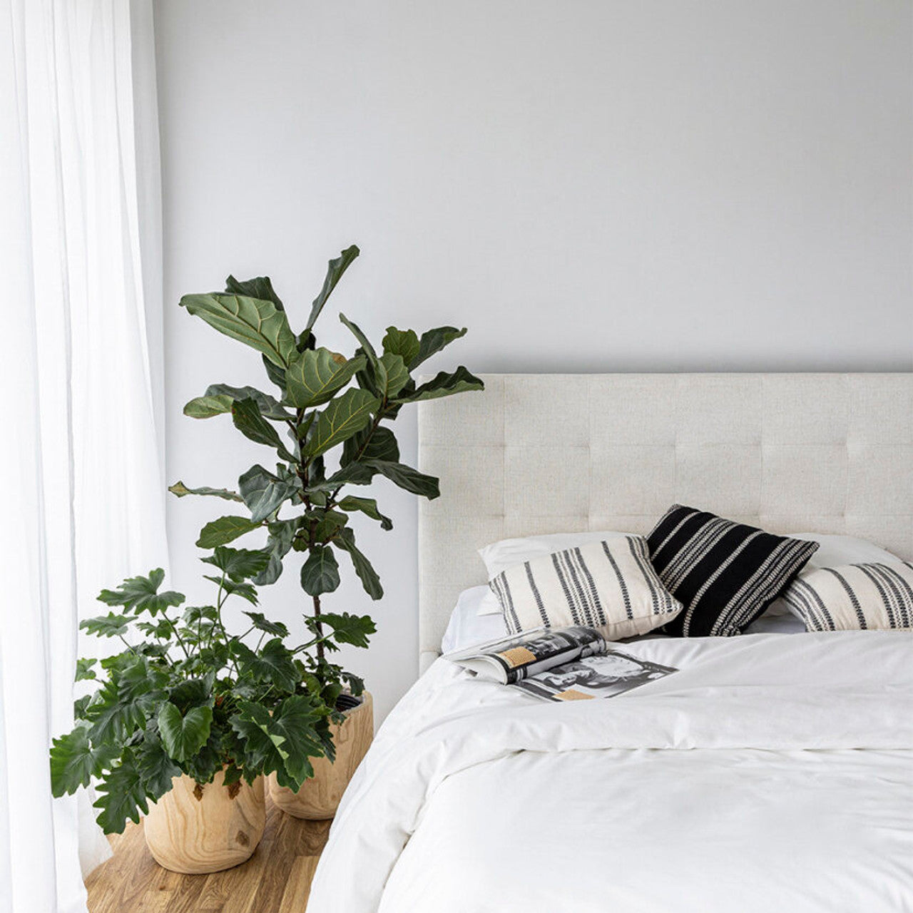 Jericho King Storage Bed - Cream