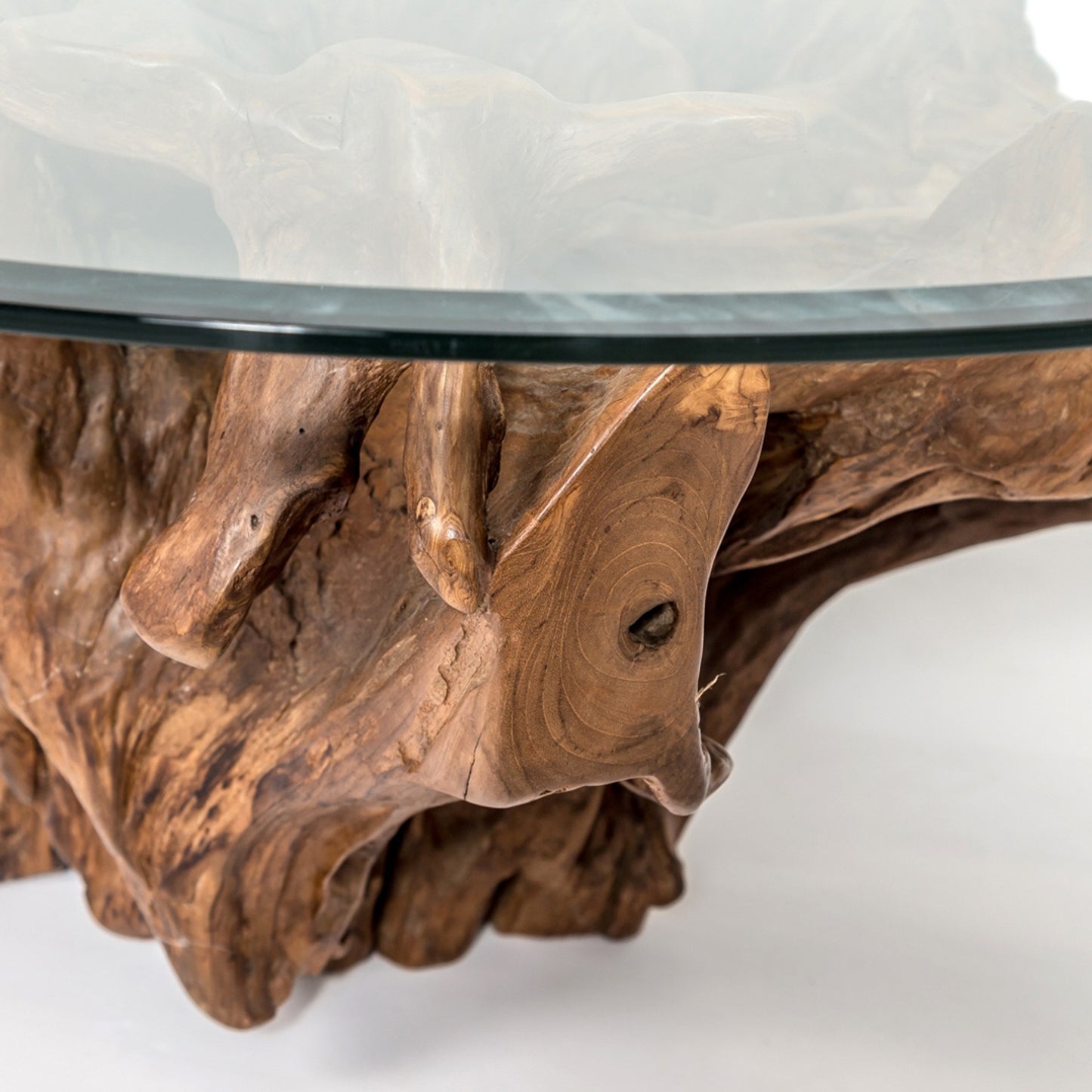 Pacific Round Root Coffee Table - L