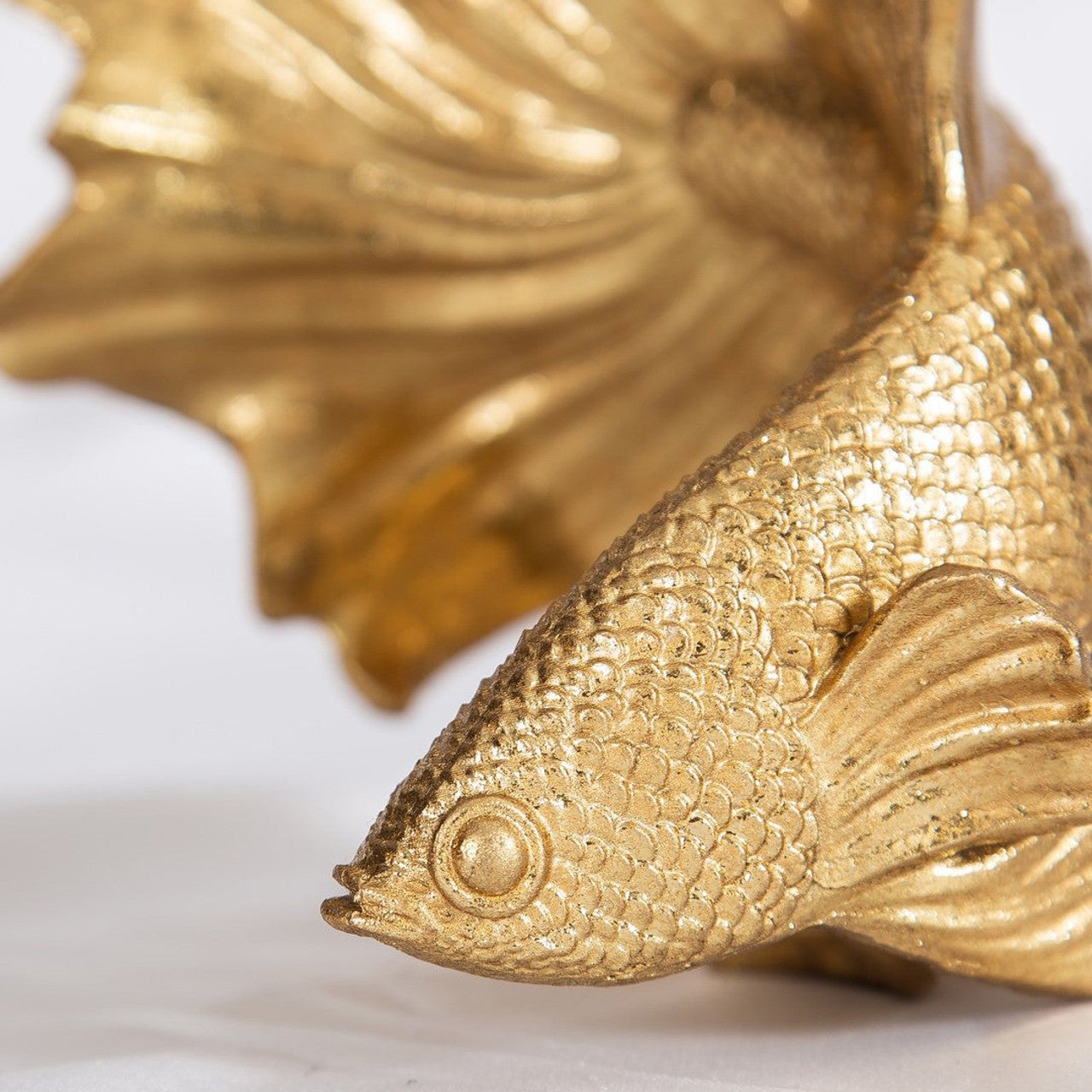 Arbutus Fish Decor