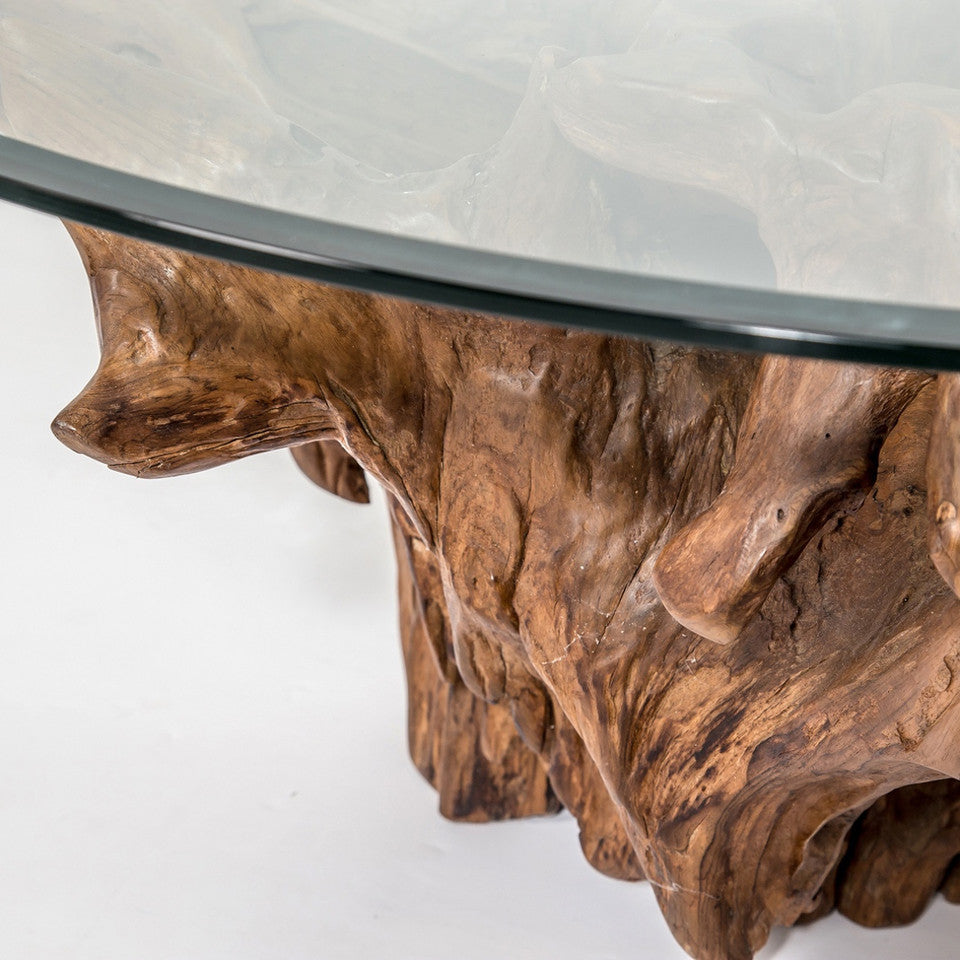 Pacific Round Root Coffee Table - S
