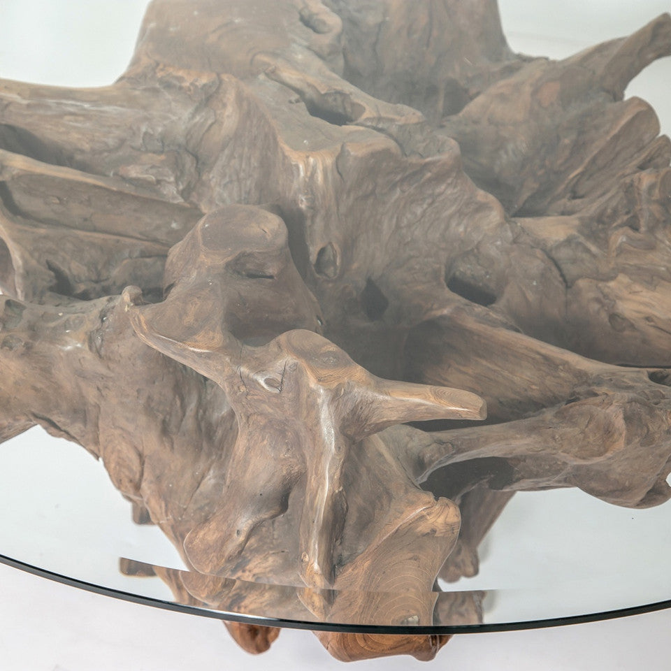 Pacific Round Root Coffee Table - S