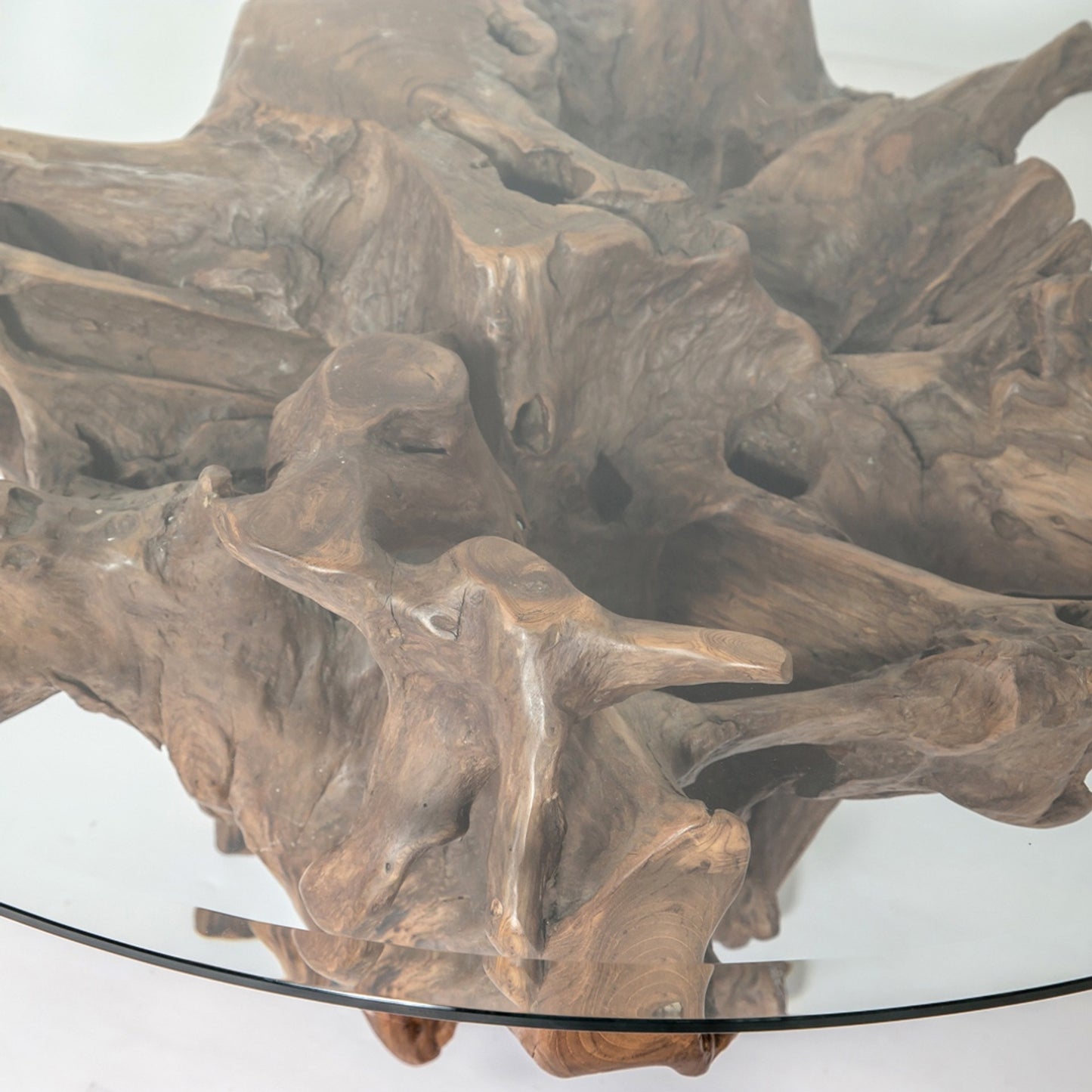 Pacific Round Root Coffee Table - L