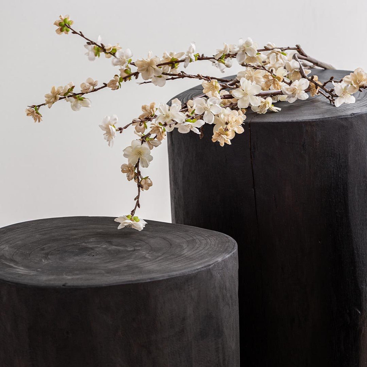 Collingwood Wide 18" Stump - Round - Black